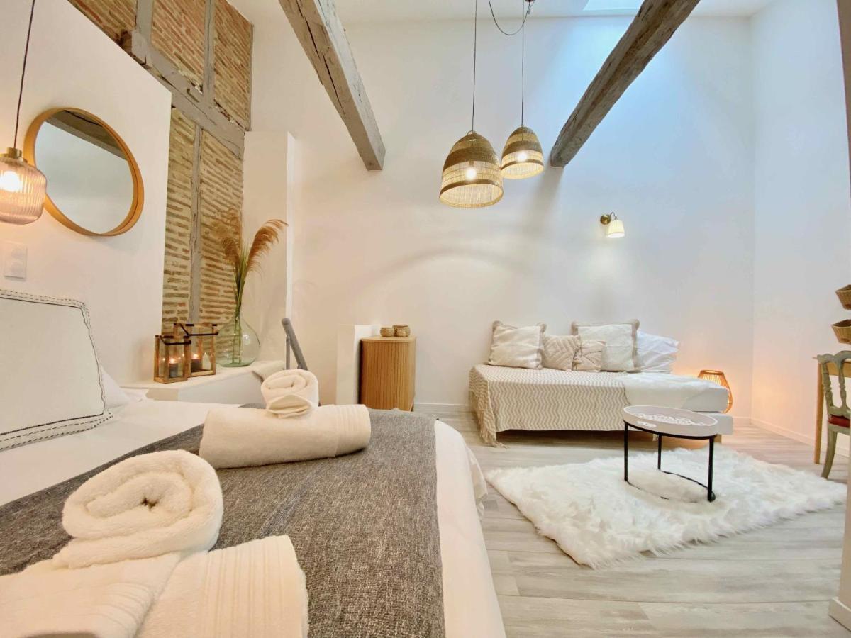 La Parenthese Occitane Lägenhet Castres  Exteriör bild